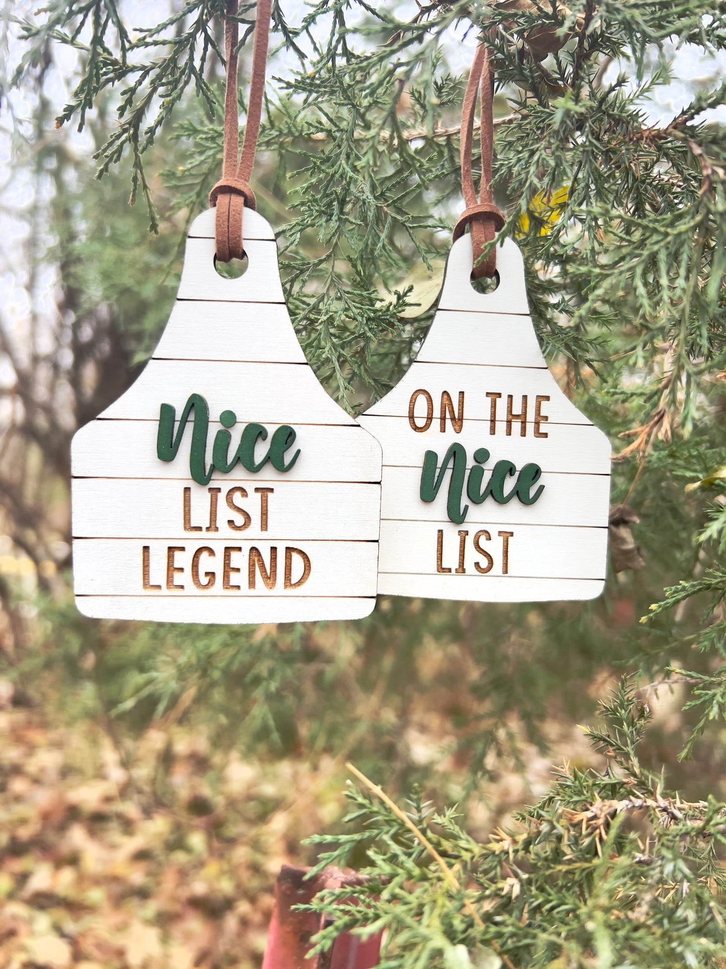 NICE list legend, on the NICE list