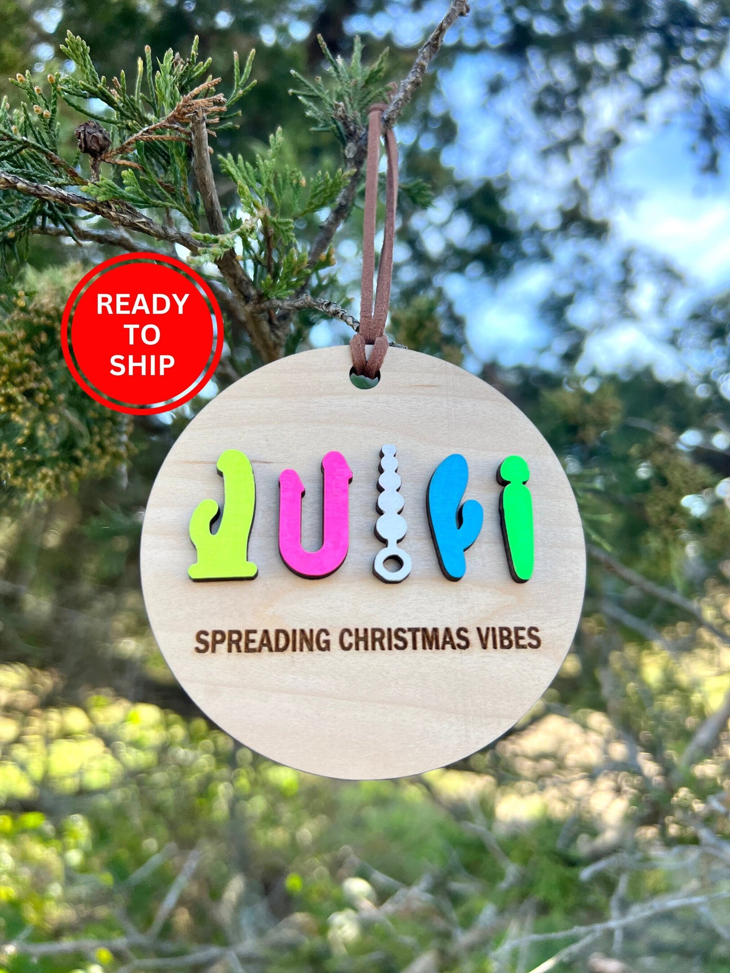 Christmas Vibes Adult Ornament, Sex Toy Ornament. Spicy Adult Humor Gift, Adult Humor Ornament, Single Lady Humor Gift